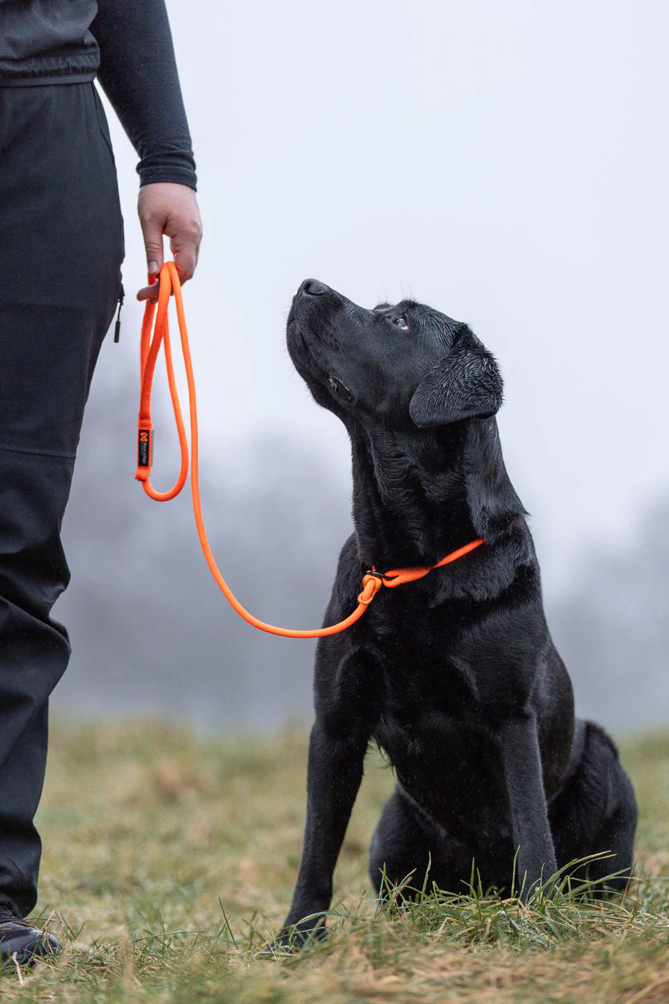 Retriever leash Black 1,6m/6mm