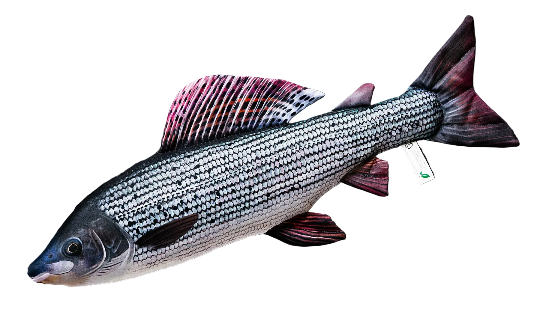 Gaby Stalling Pudefisk