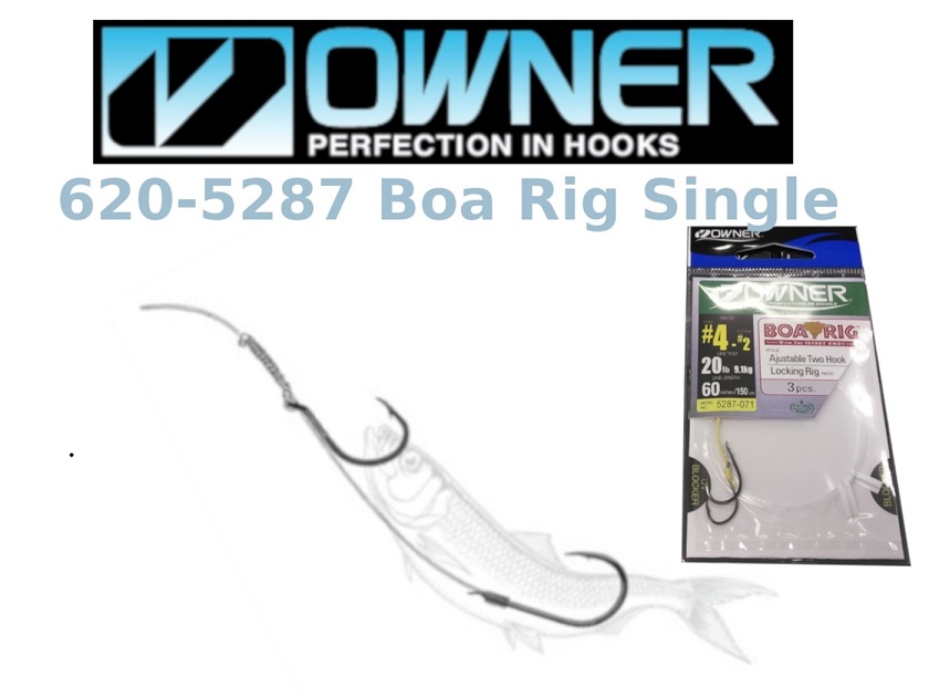 Owner Boa Rig Single