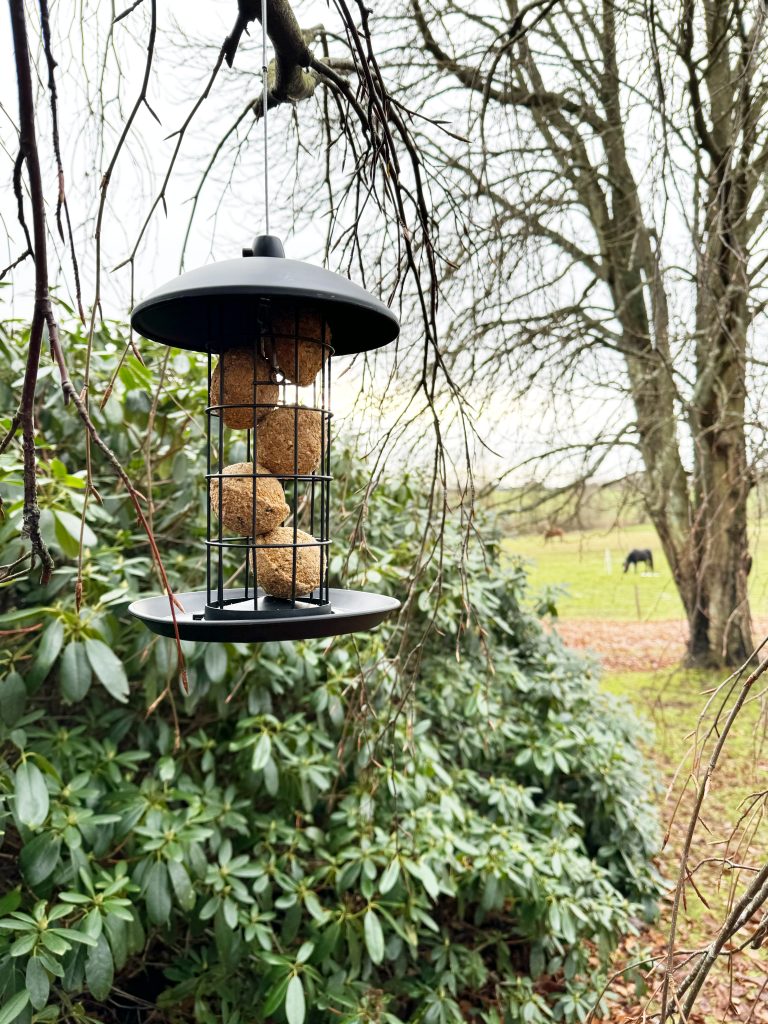 Ryom Foderautomat i plast til Mejsebolde