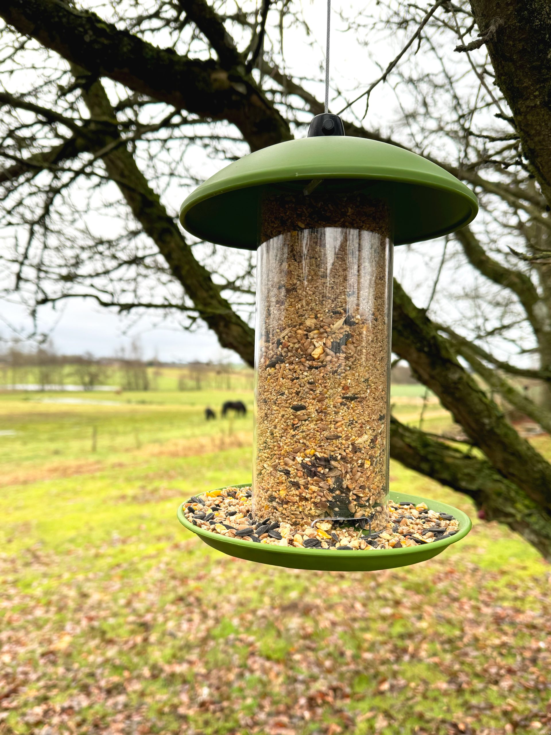 Ryom Foderautomat i plast til Frøbl./solsikker