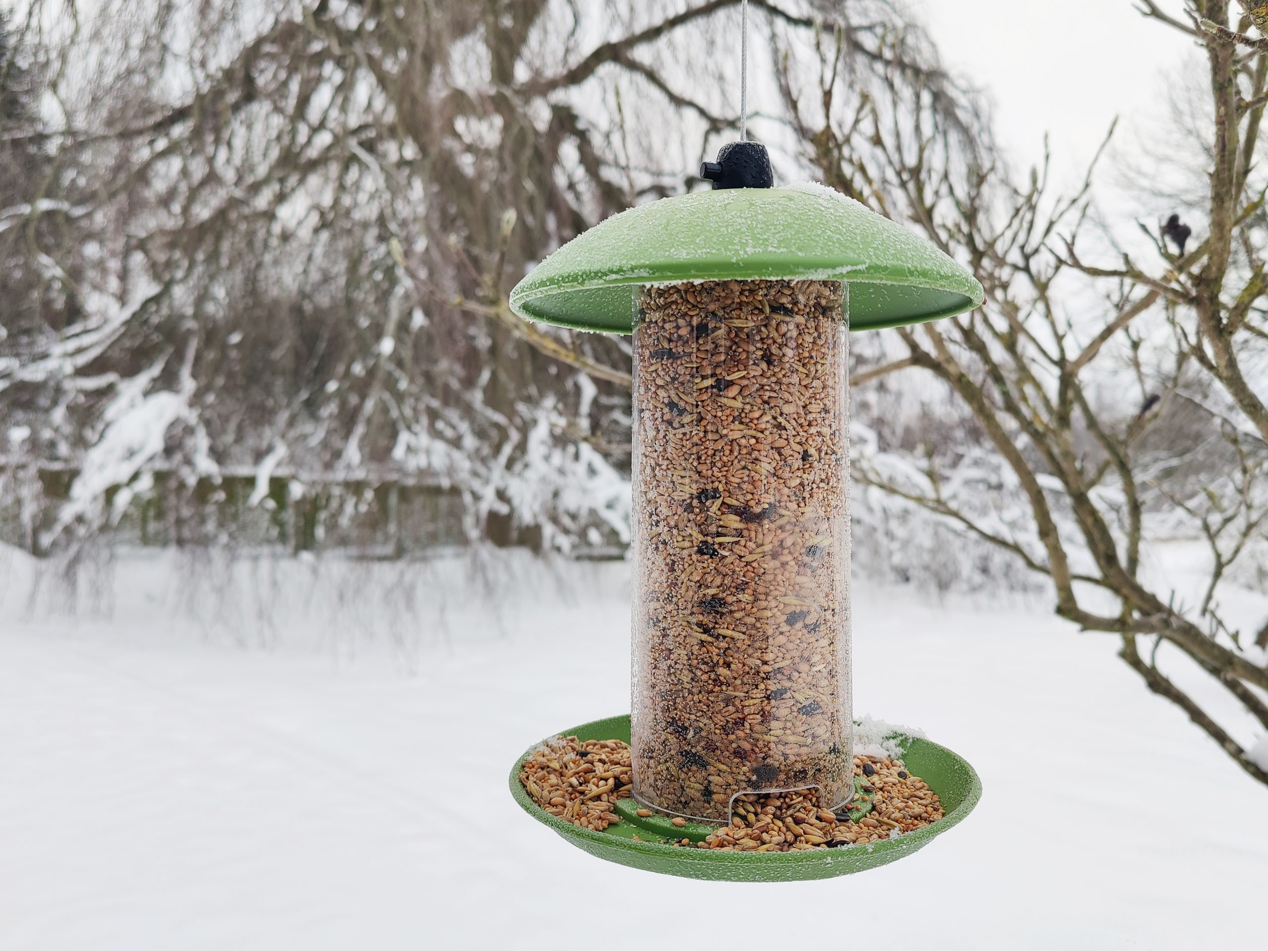 Ryom Foderautomat i plast til Frøbl./solsikker