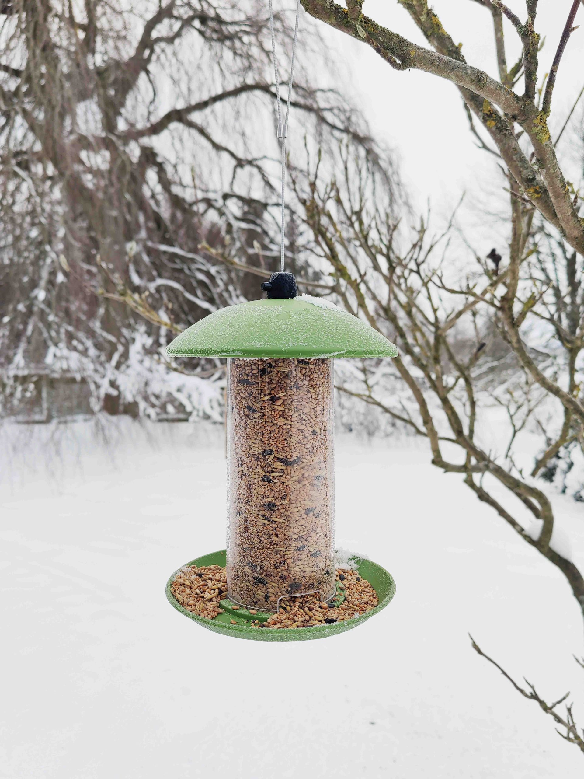 Ryom Foderautomat i plast til Frøbl./solsikker