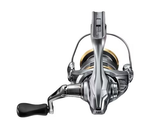 Shimano Sedona FJ