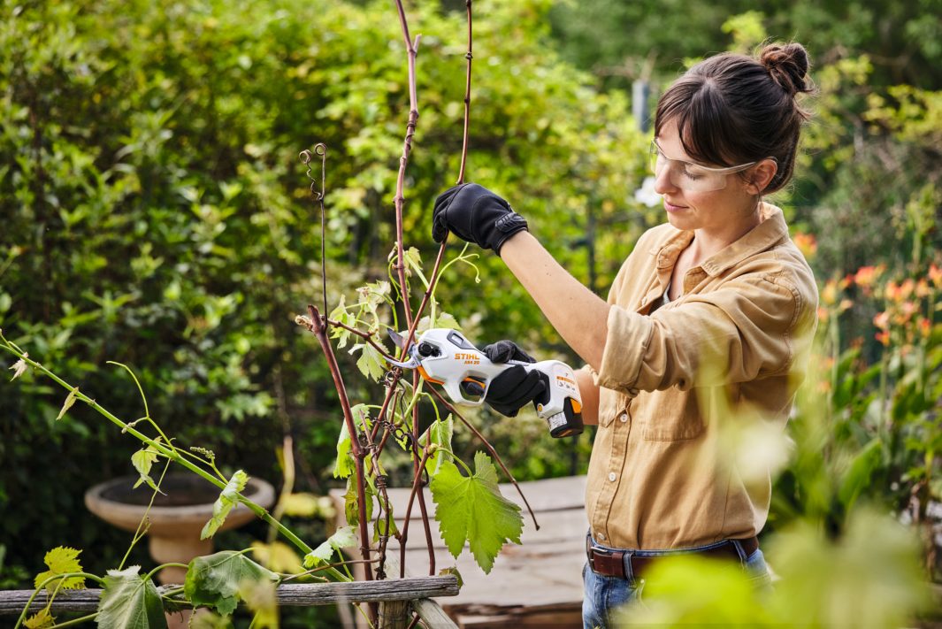 Stihl ASA 20 Beskæresaks sæt