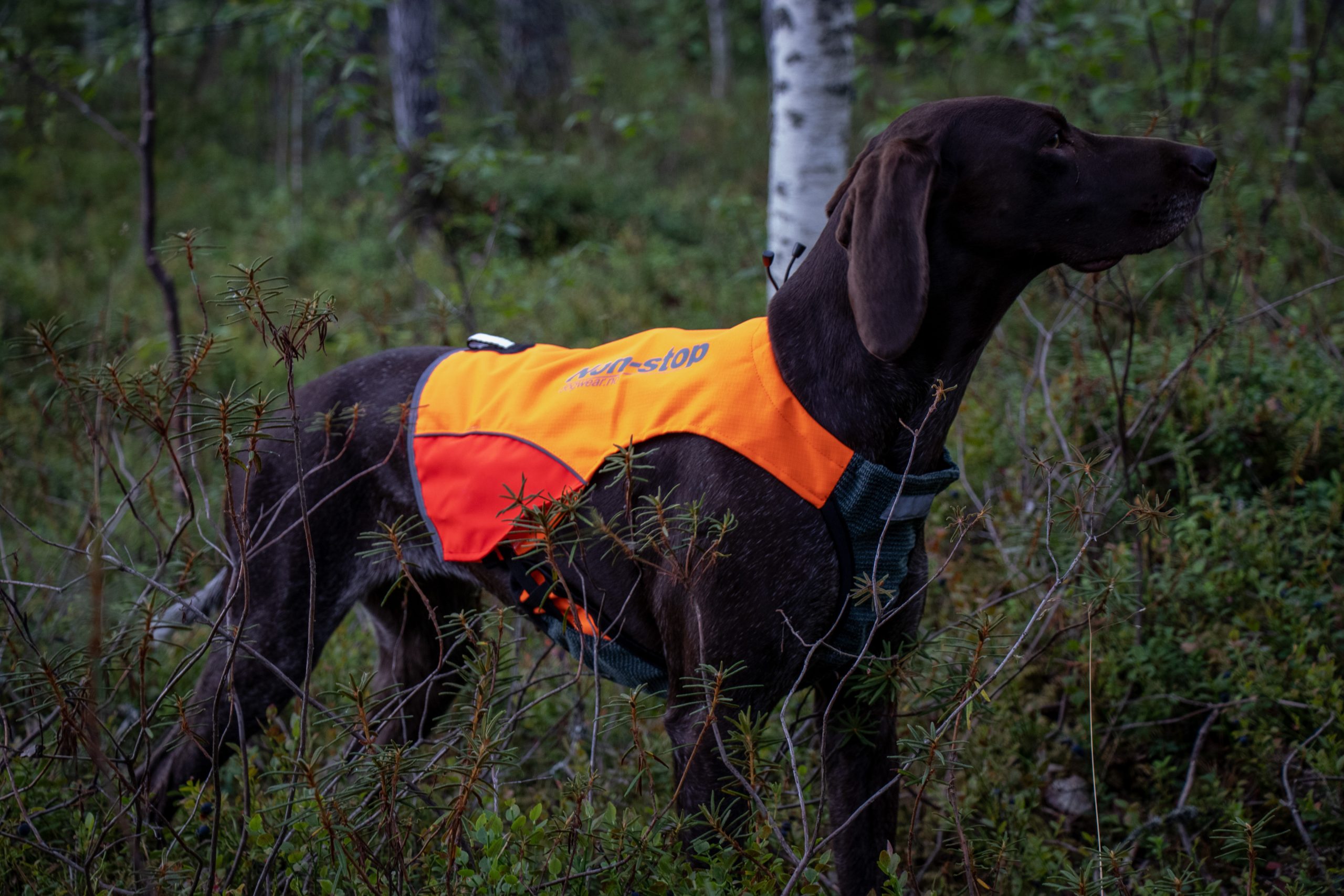 Non-stop Protector vest