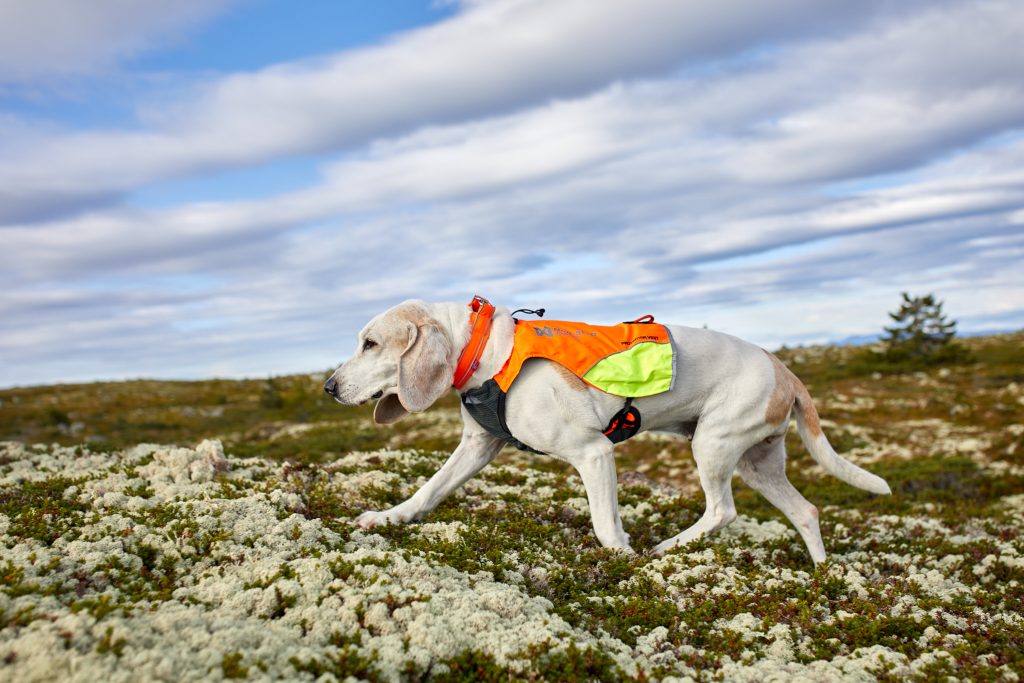 Non-stop Protector vest